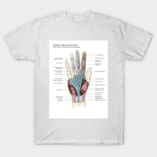 Hand Anatomy Pen and Ink Drawing T-Shirt